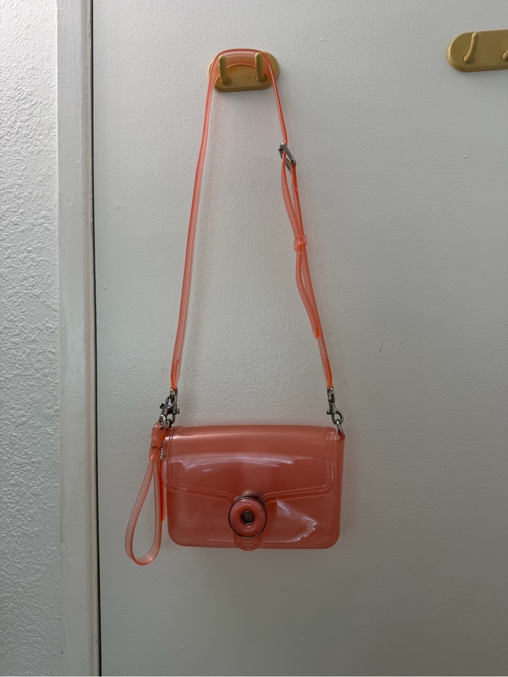 Amazon Coral Transparent Crossbody Bag with Turn-Lock Accent